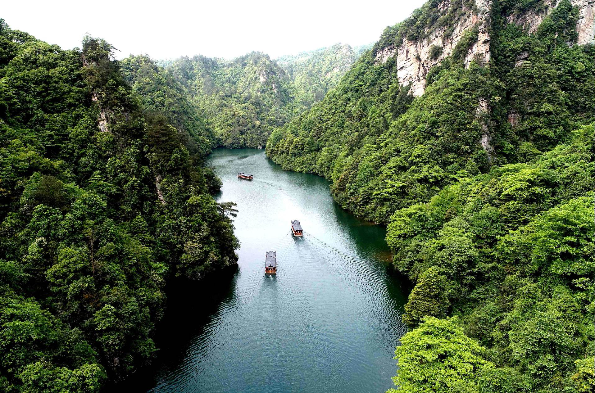 Hồ Bảo Phong - Trương Gia Giới