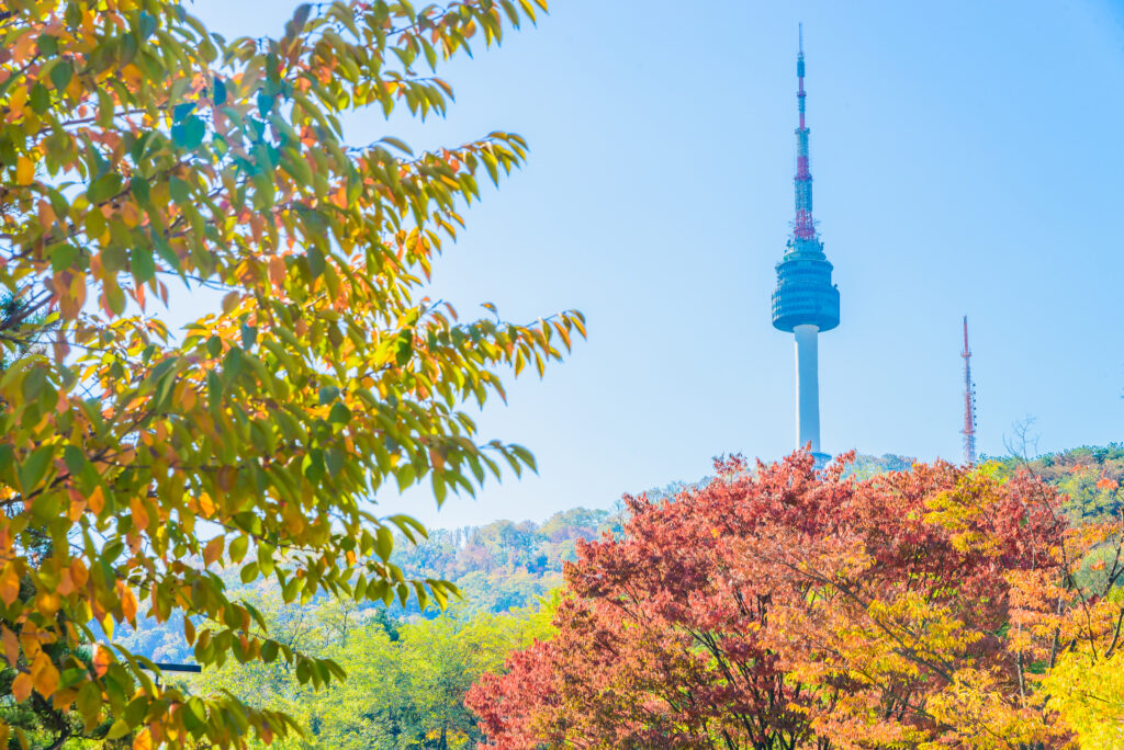 Seoul tower in seoul city , Hàn Quốc