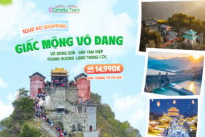   GIẤC MỘNG VÕ ĐANG