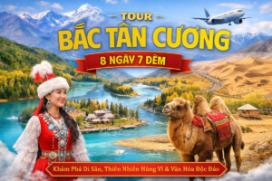 BẮC TÂN CƯƠNG 8N7Đ