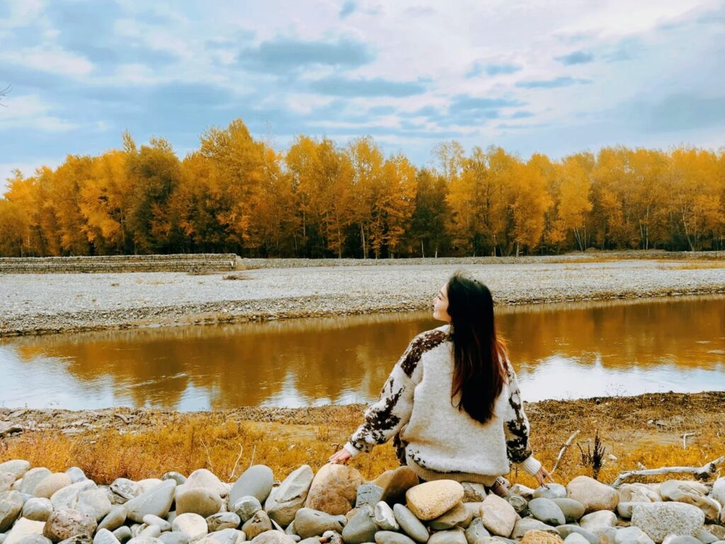 Rừng Bạch Dương